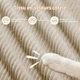 Ensemble de canapés avec accoudoirs incurvés et base antidérapante en tissu velours côtelé doux pour le salon, beige,siège 4